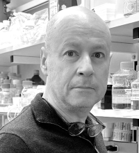 Pr. Adrian SALIC © Photog. A.Salic